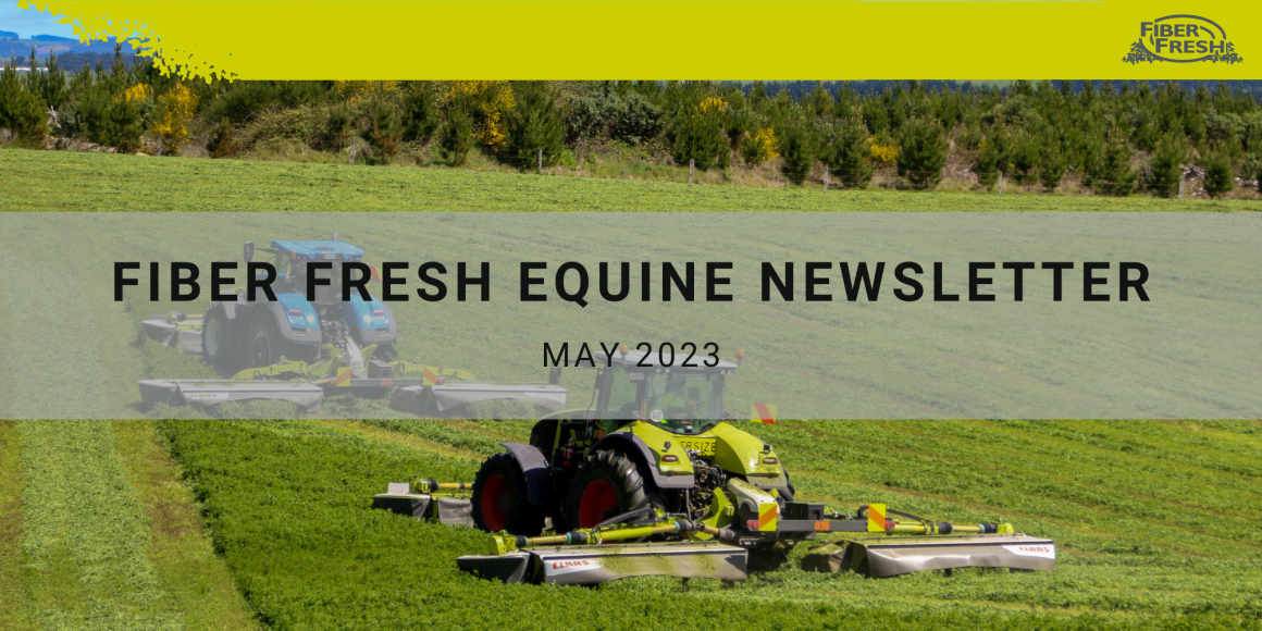 May's Equine Newsletter is Here!