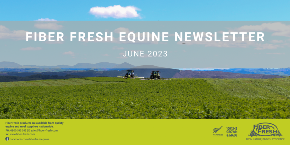 June's Equine Newsletter is Here!
