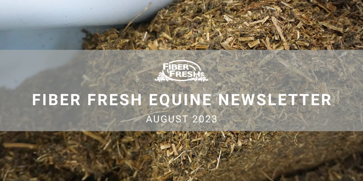 August's Equine Newsletter is Here!