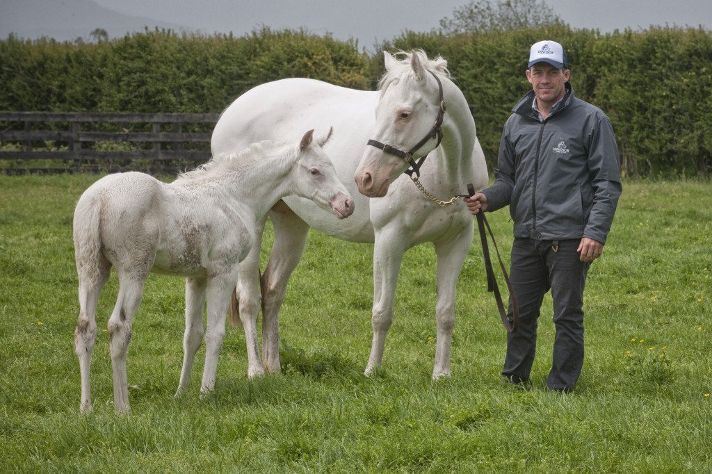 World Class Thoroughbred Breeder Rodney Schick of Windsor Park