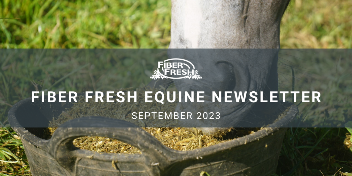 September's Equine Newsletter is Here!