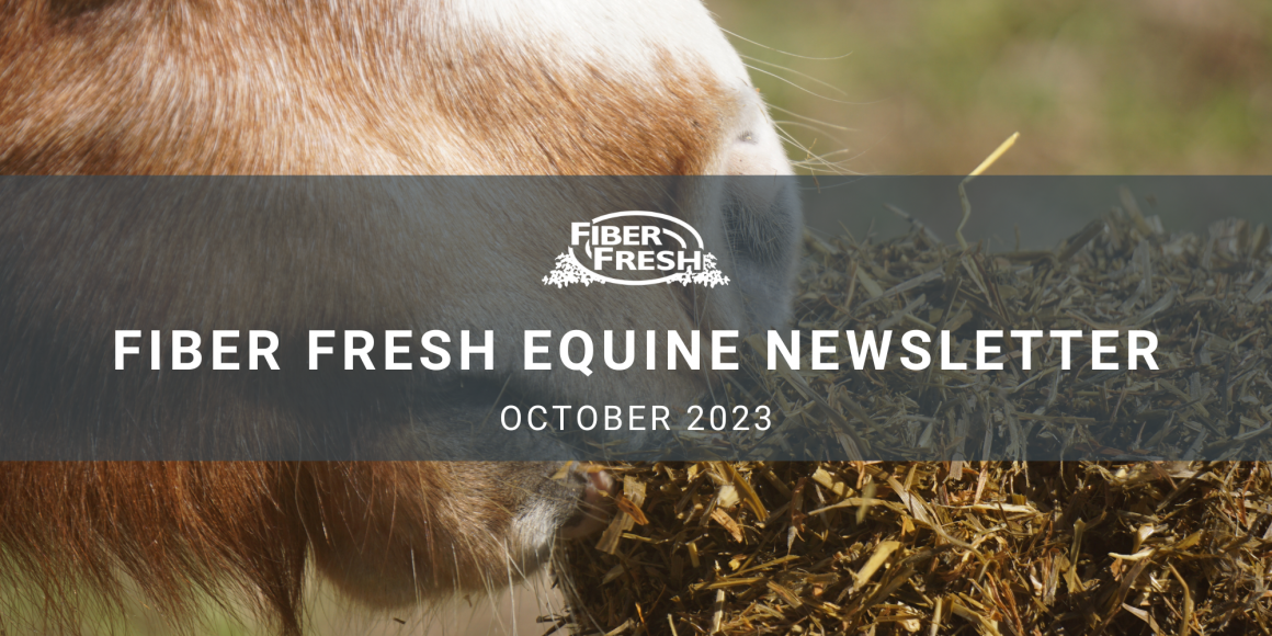 October's Equine Newsletter is Here!