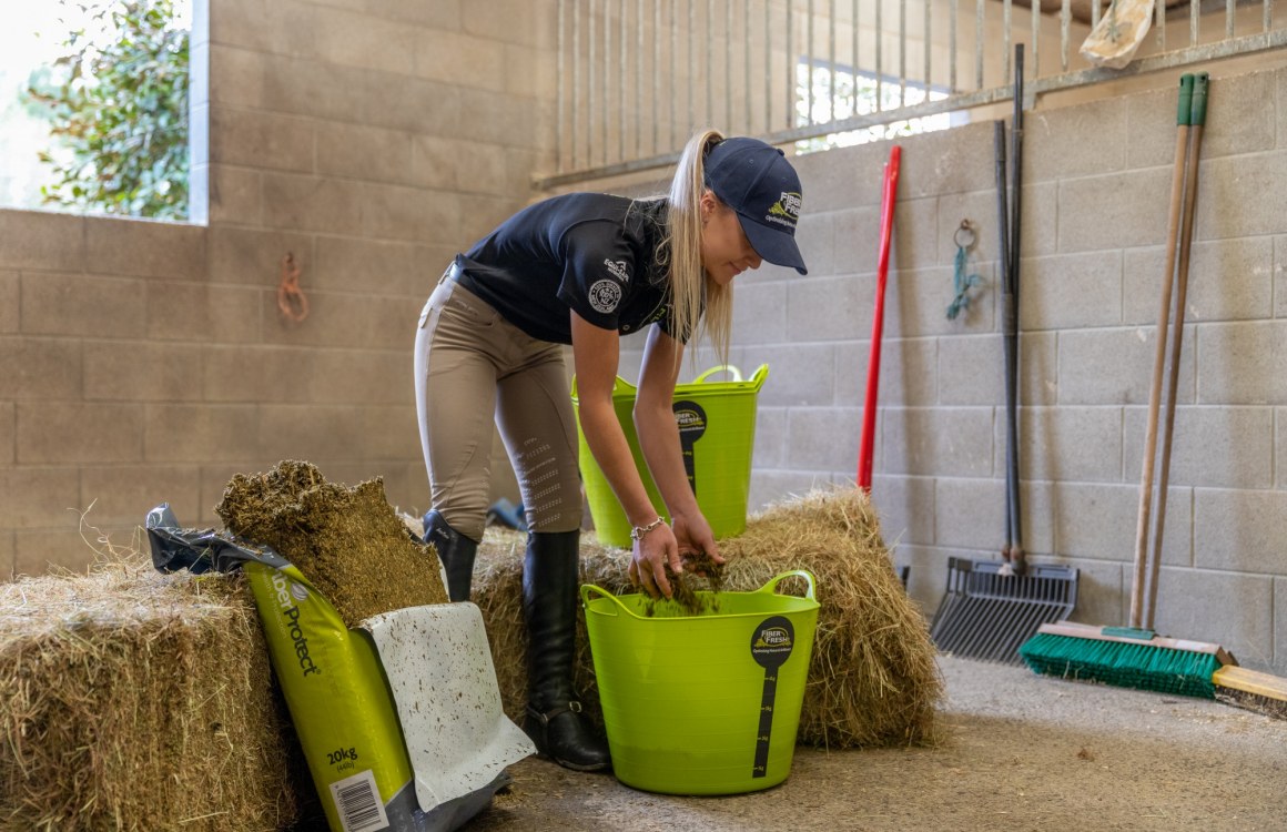 Feeding your horse over winter