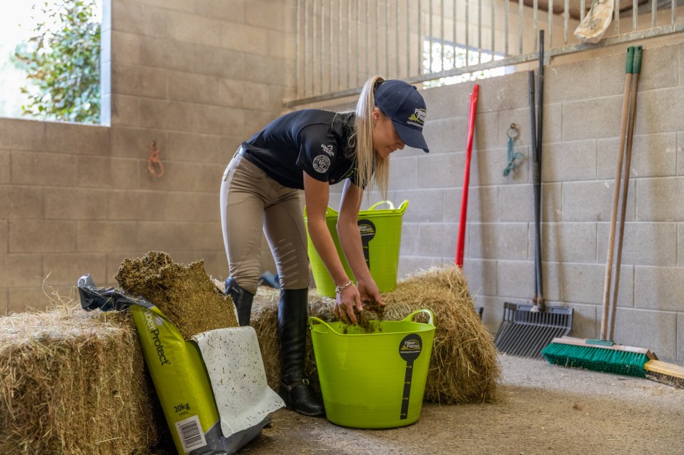 Feeding your horse over winter