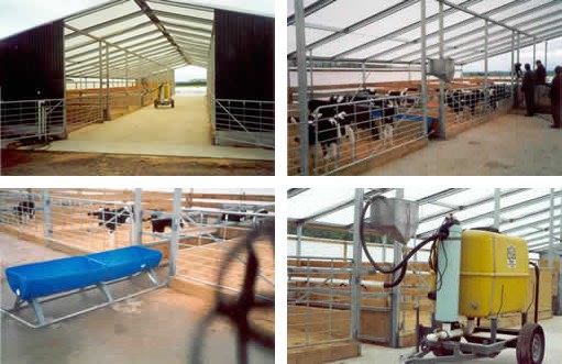 Full Cow Shed Design