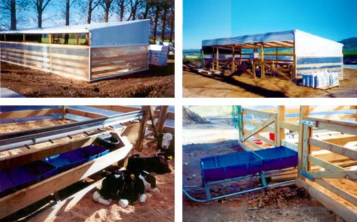 Full Cow Shed Design