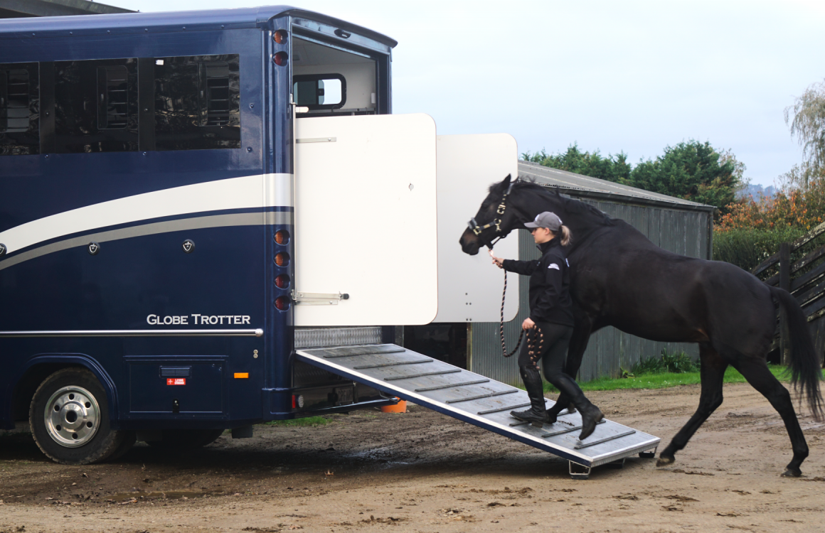 How to Help Prevent Travel Stress When Transporting Horses