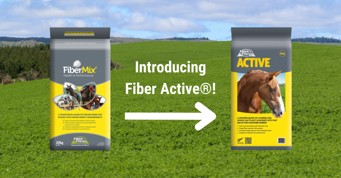 Fiber Mix has had a makeover... Introducing Fiber Active®!