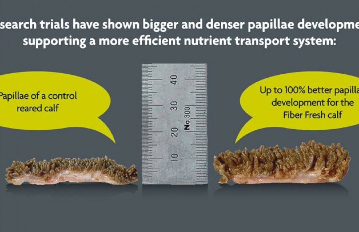 The Soluble Highly Nutritious Components of FiberStart® and FiberGain®