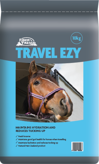 Travel Ezy